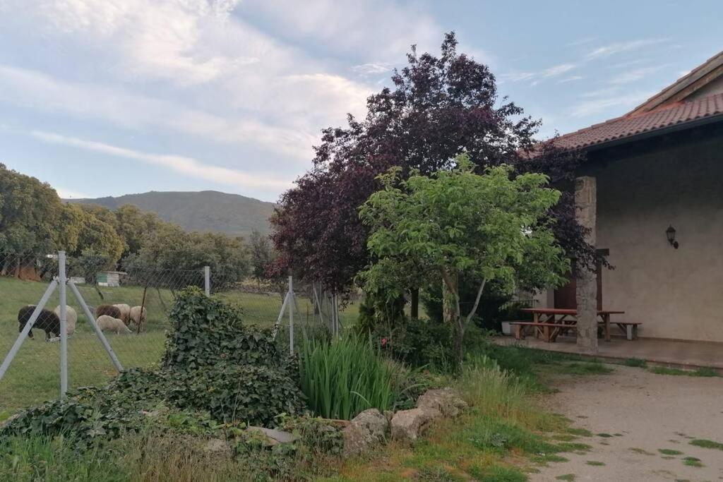 Casa Namaste - Ortigosa Del Monte Ortigosa del Monte Exterior foto